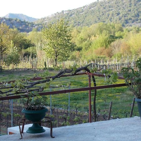 Guesthouse Feel Lake Virpazar Extérieur photo