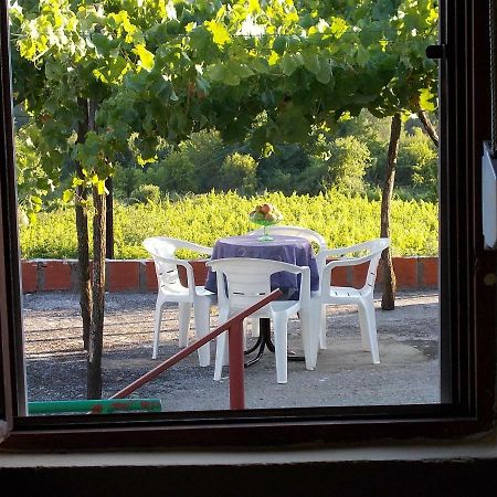 Guesthouse Feel Lake Virpazar Extérieur photo