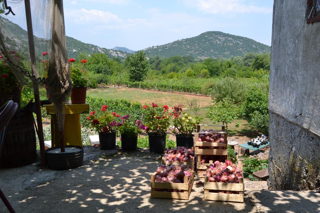 Guesthouse Feel Lake Virpazar Extérieur photo