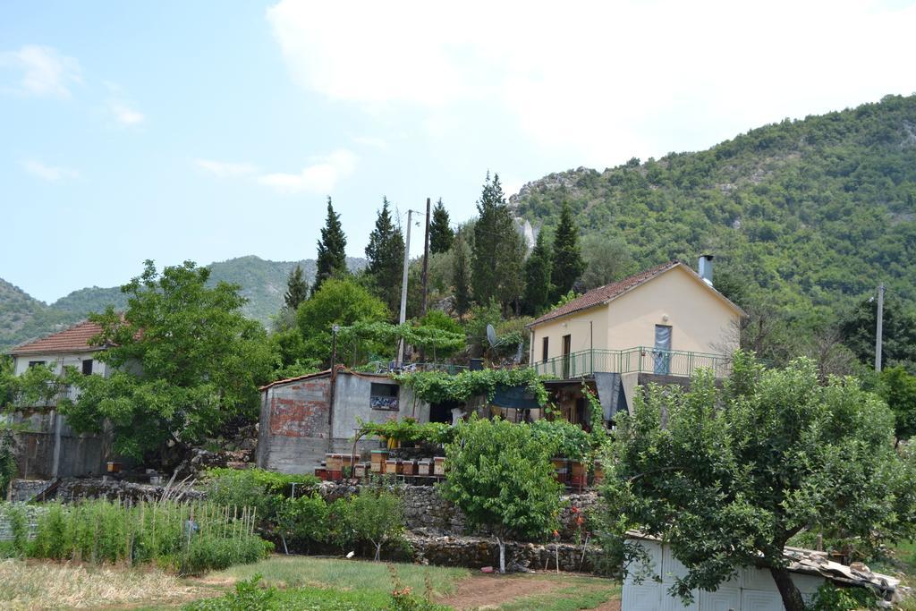 Guesthouse Feel Lake Virpazar Extérieur photo