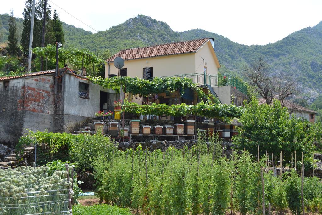 Guesthouse Feel Lake Virpazar Extérieur photo