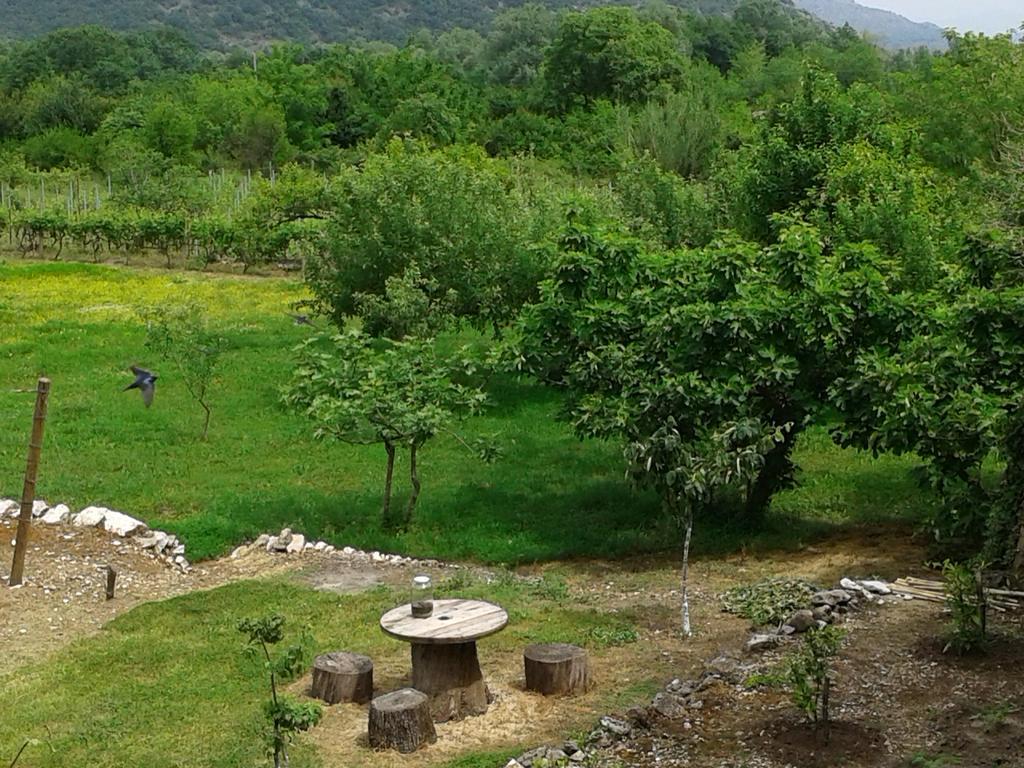 Guesthouse Feel Lake Virpazar Extérieur photo