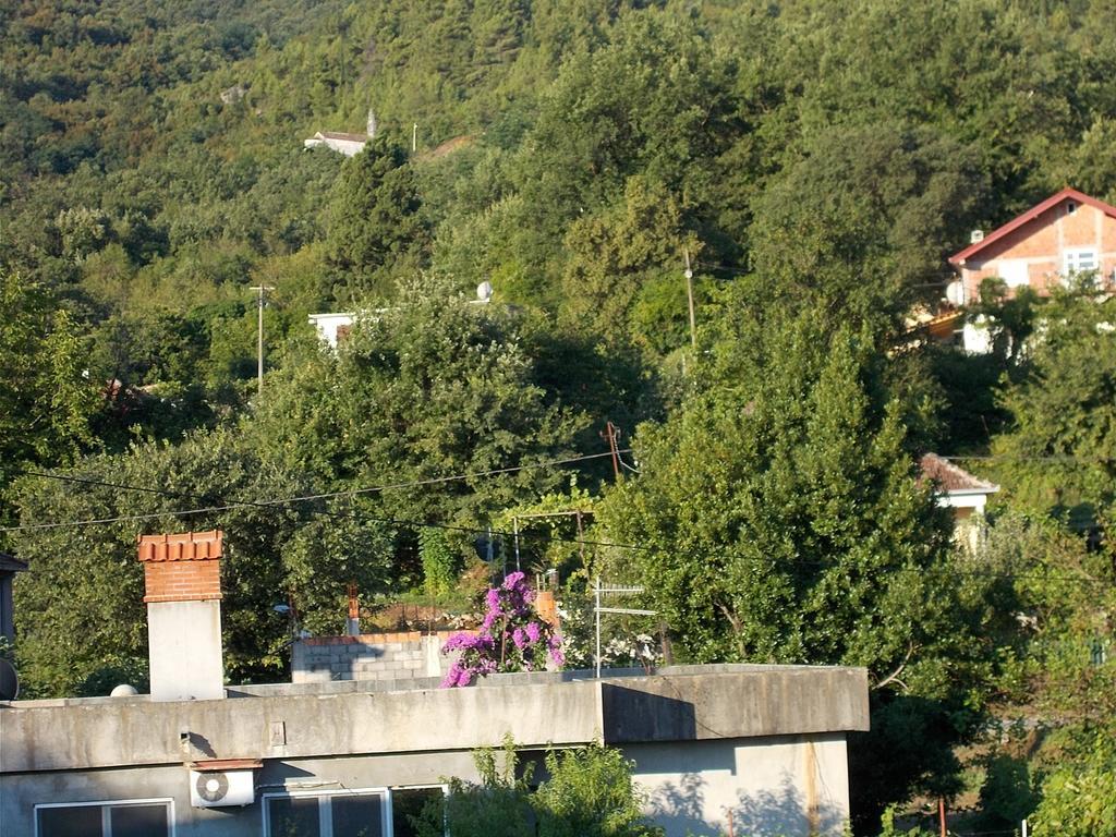Guesthouse Feel Lake Virpazar Extérieur photo