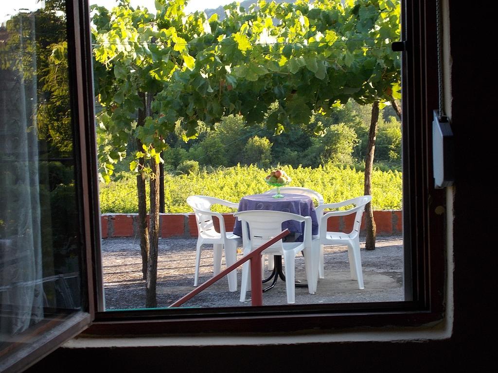 Guesthouse Feel Lake Virpazar Extérieur photo