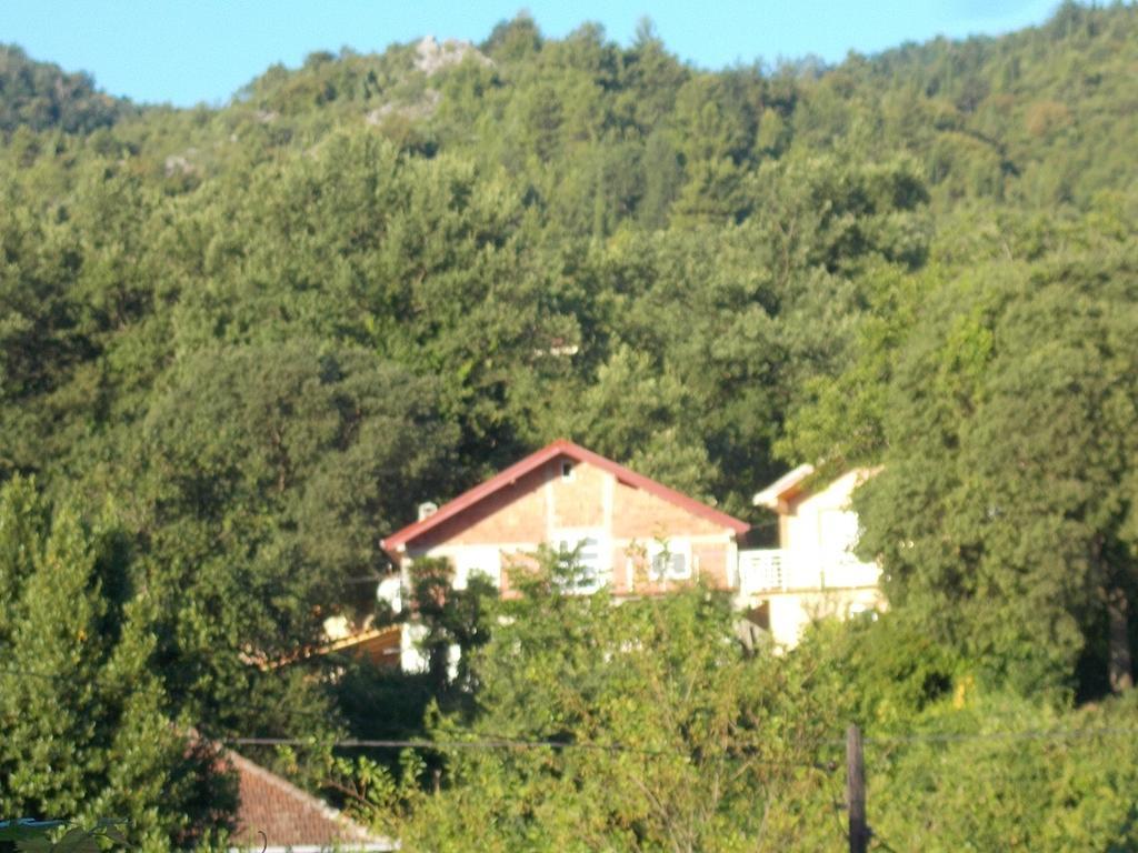 Guesthouse Feel Lake Virpazar Extérieur photo