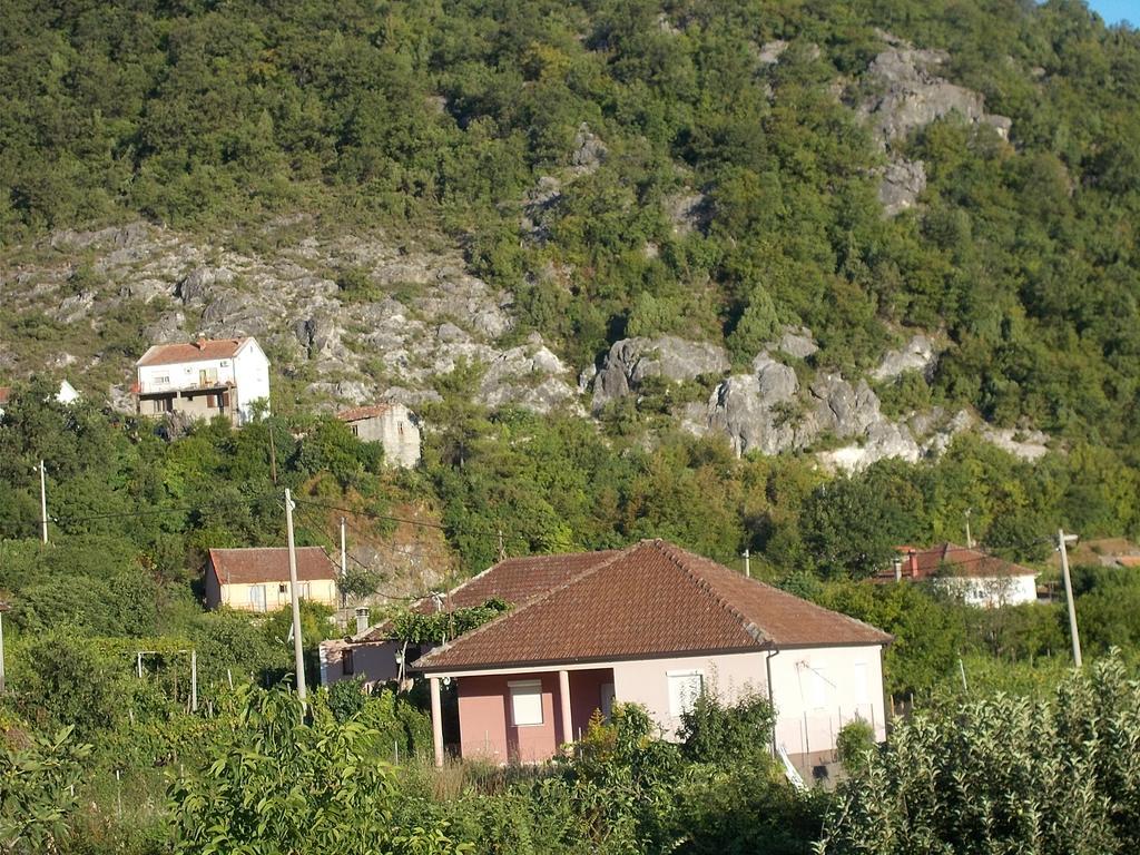 Guesthouse Feel Lake Virpazar Extérieur photo