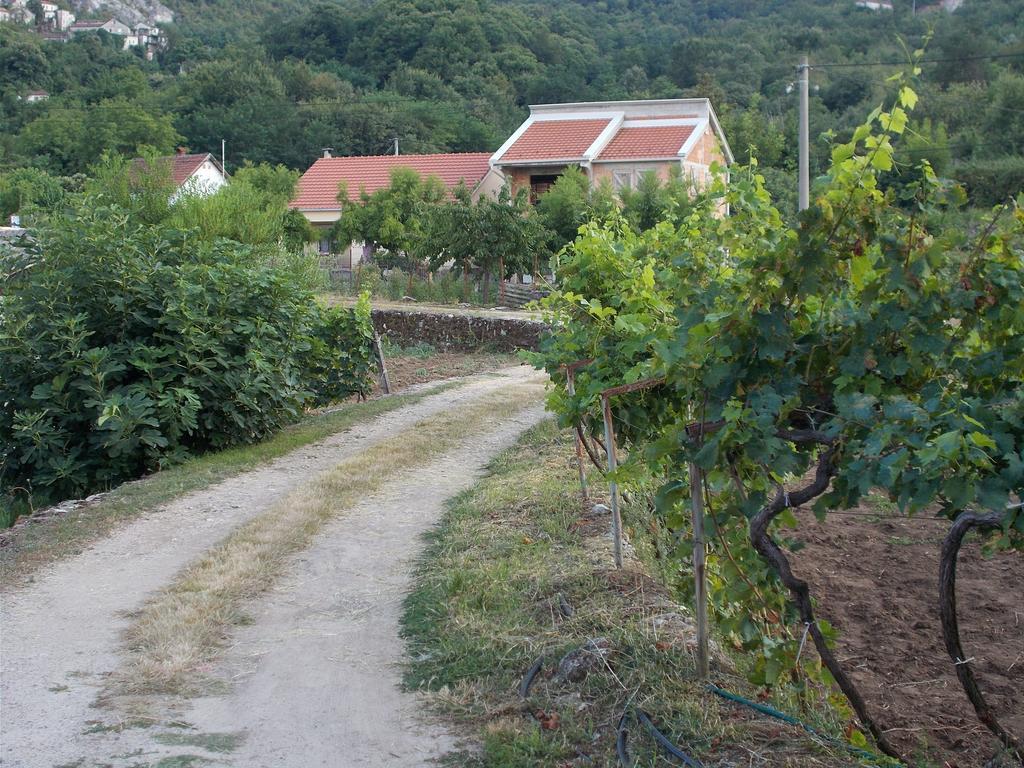 Guesthouse Feel Lake Virpazar Extérieur photo