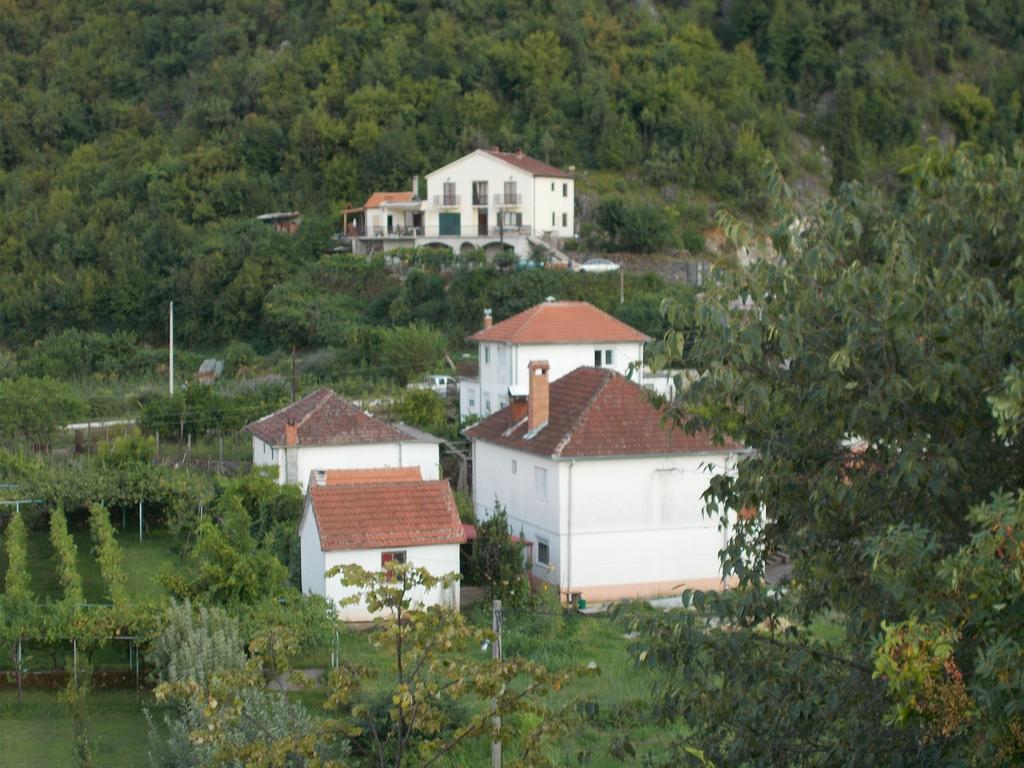 Guesthouse Feel Lake Virpazar Extérieur photo