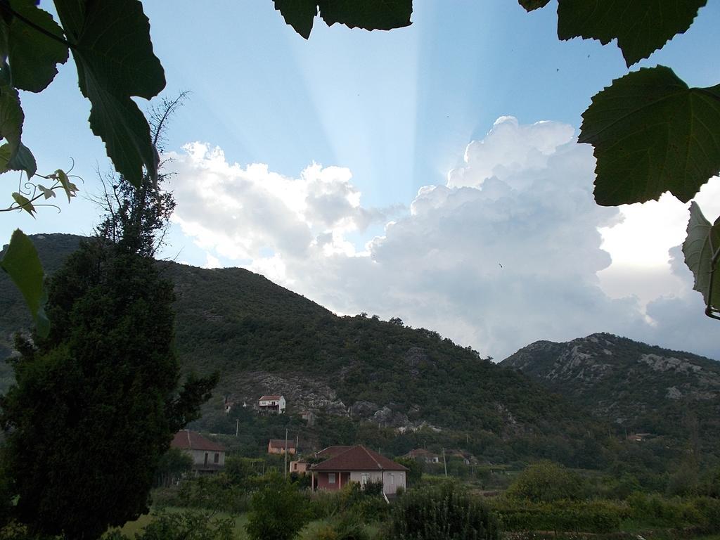 Guesthouse Feel Lake Virpazar Extérieur photo
