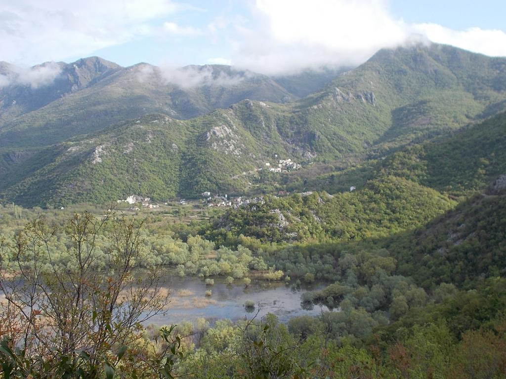 Guesthouse Feel Lake Virpazar Extérieur photo