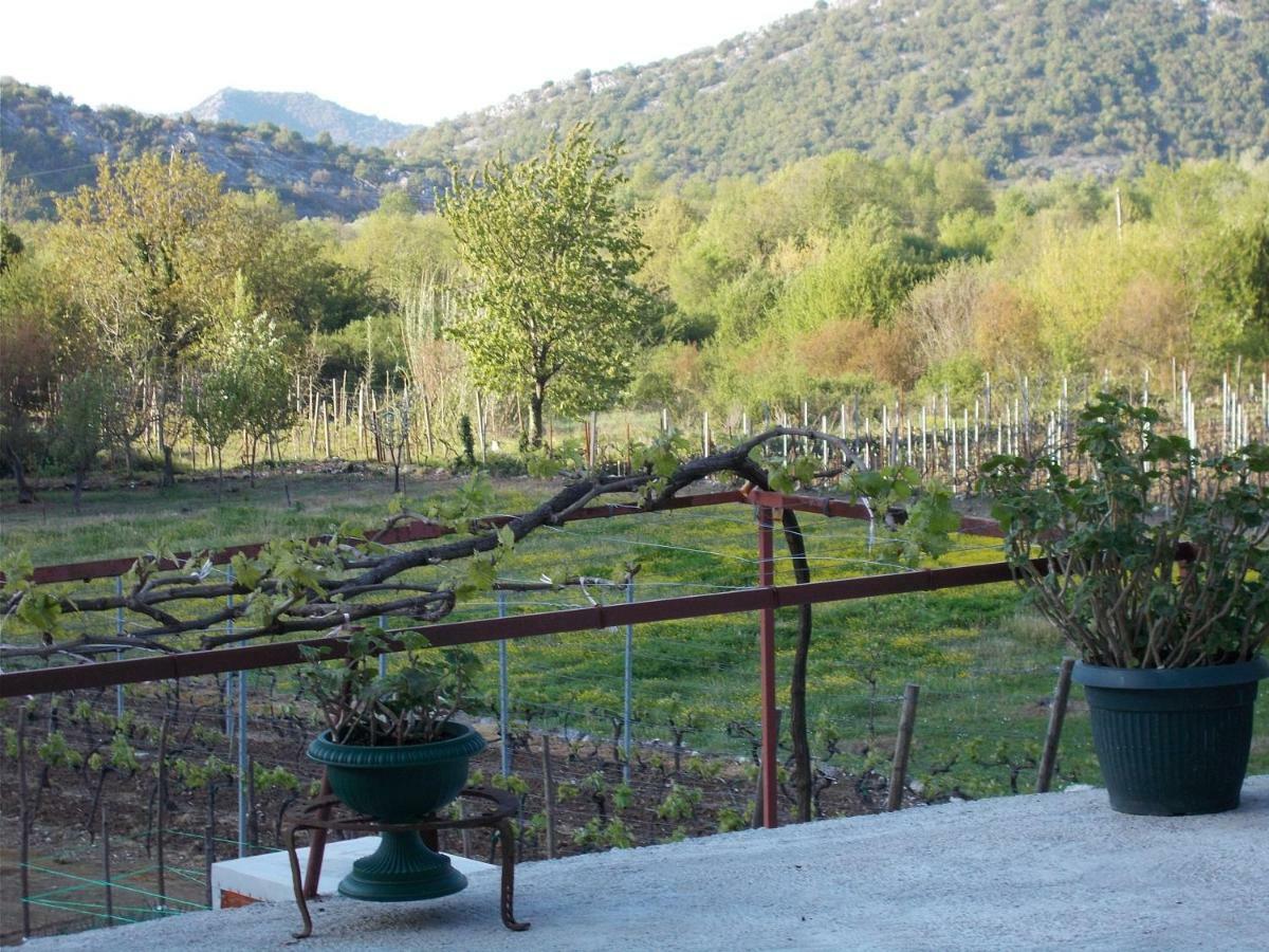 Guesthouse Feel Lake Virpazar Extérieur photo