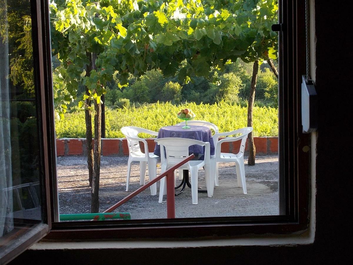 Guesthouse Feel Lake Virpazar Extérieur photo